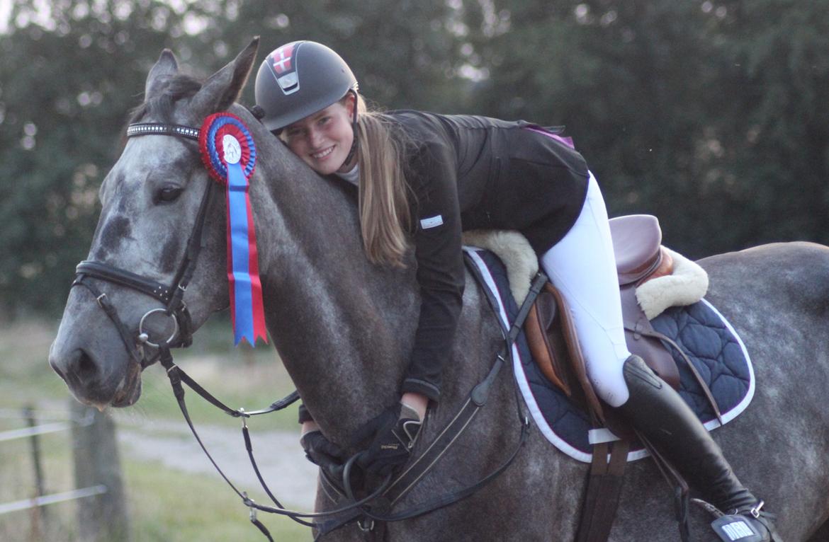 Dansk Varmblod QUEEN OF COOL LADY BS billede 5