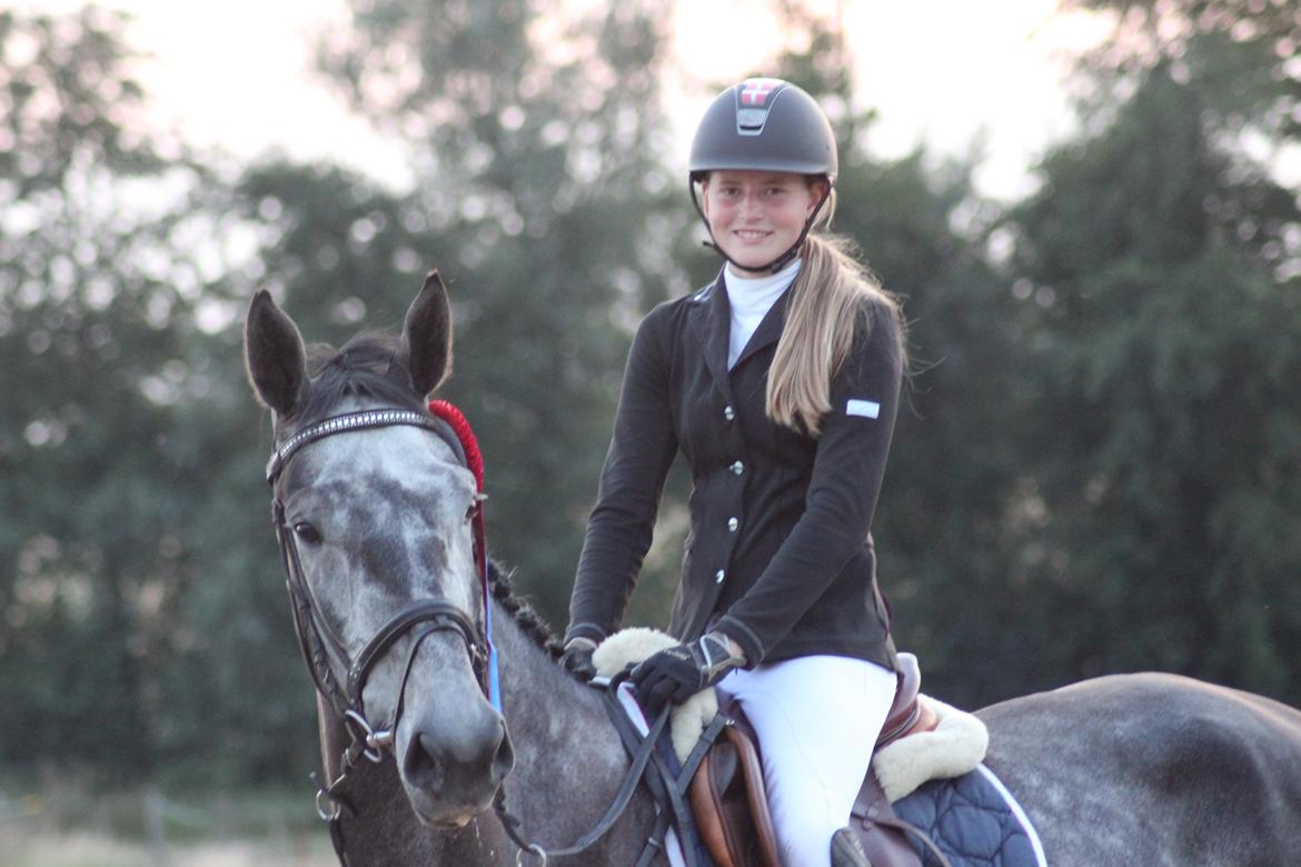 Dansk Varmblod QUEEN OF COOL LADY BS billede 4