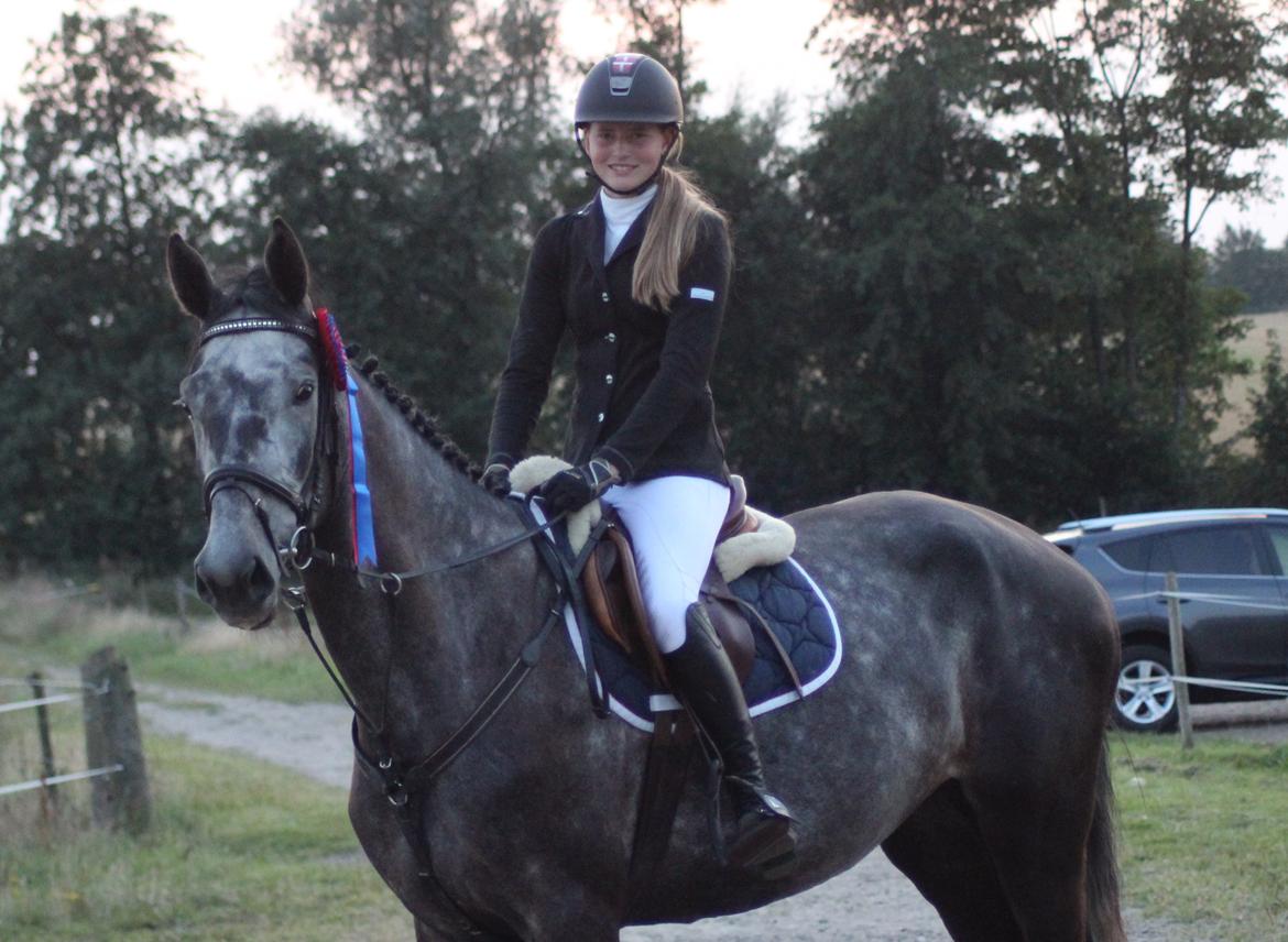 Dansk Varmblod QUEEN OF COOL LADY BS billede 6