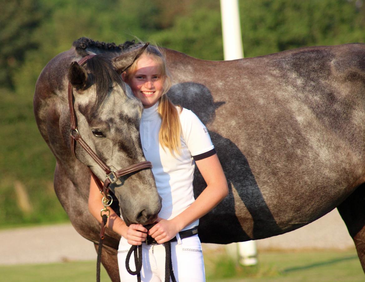 Dansk Varmblod QUEEN OF COOL LADY BS billede 3