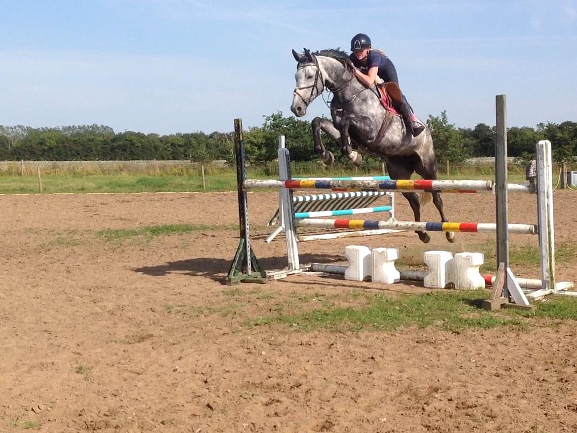 Holstener QUINTA BS  billede 4