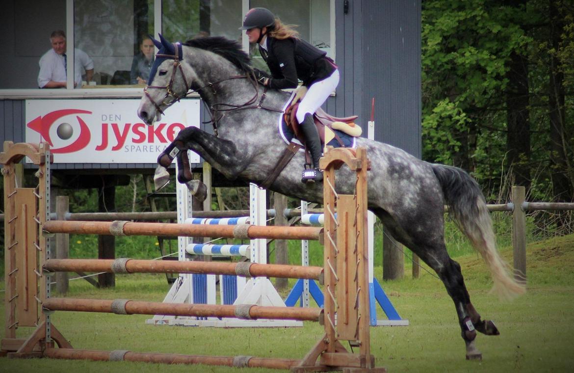 Holstener QUINTA BS  billede 2