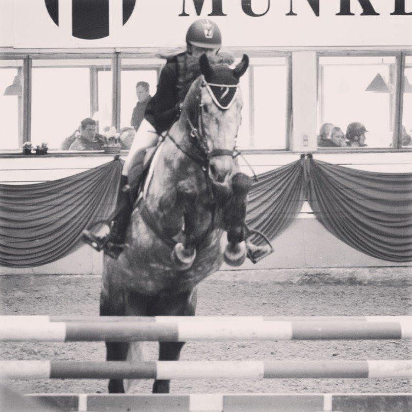 Holstener QUINTA BS  billede 3