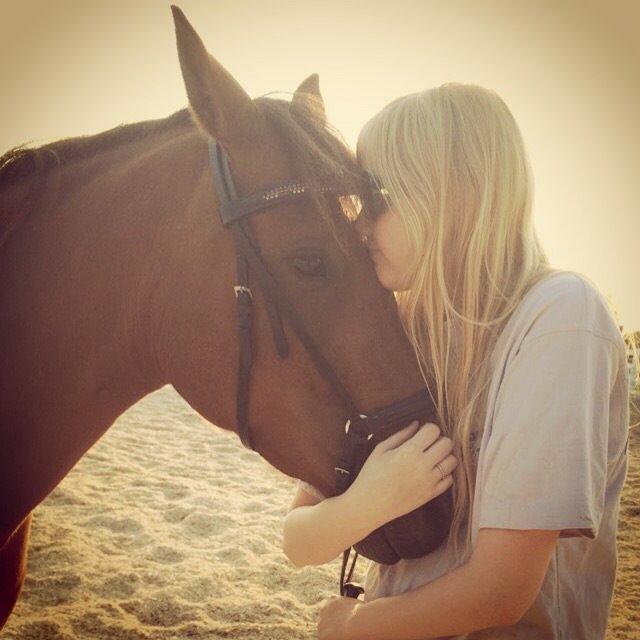 Pinto Araber Lotus Lana billede 4