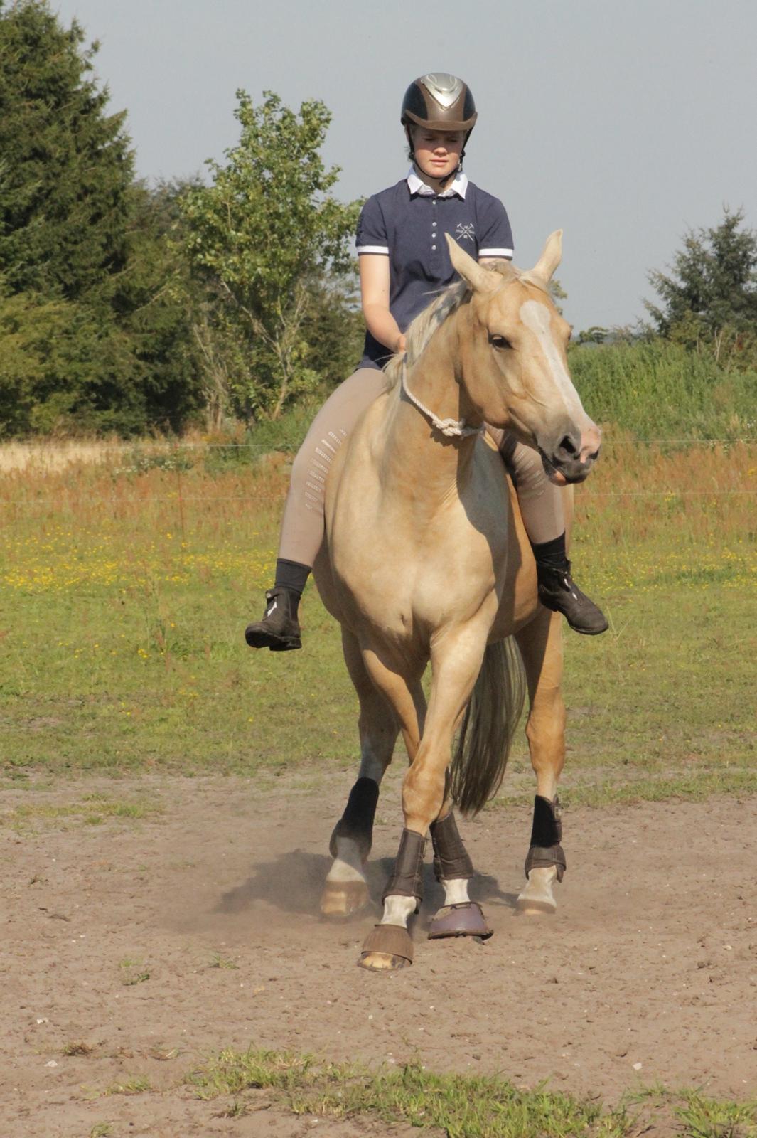 Anden særlig race Roosgårdens Chanta Lou billede 11
