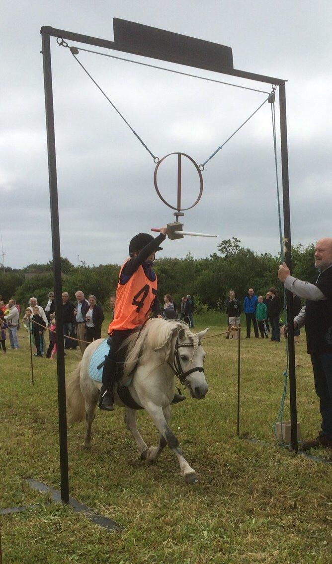 Welsh Mountain (sec A) Prins Valentin (Lille Gut) billede 37