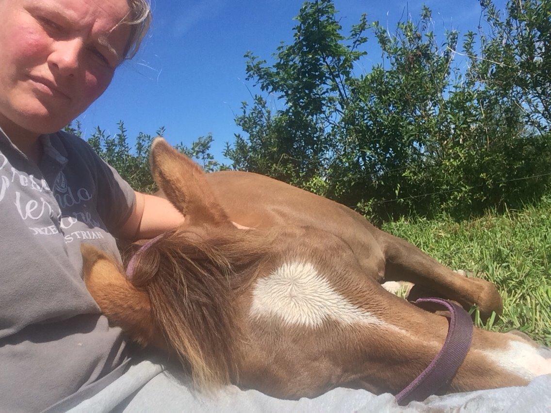 Anden særlig race Kiaya billede 25