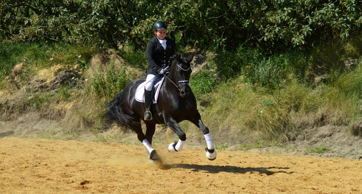 Frieser Antsje Van De Martini billede 10