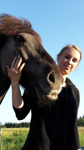 Islænder Móses Fra Sjónarhóli billede 13