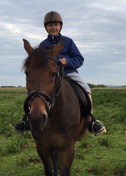 Standardbred Hej Kaj billede 16