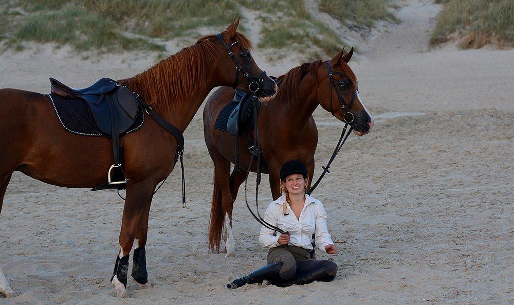 Arabisk fuldblod (OX) Itaya El Shaklan - d. 22 August 2015 - Itaya, første gang ved Havet. Haft rytter på kun 21 gange. billede 16