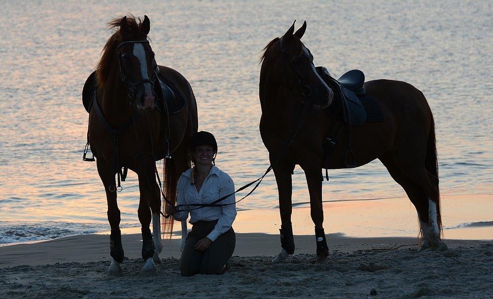 Arabisk fuldblod (OX) Itaya El Shaklan - d. 22 August 2015 - Itaya, første gang ved Havet. Haft rytter på kun 21 gange. billede 11