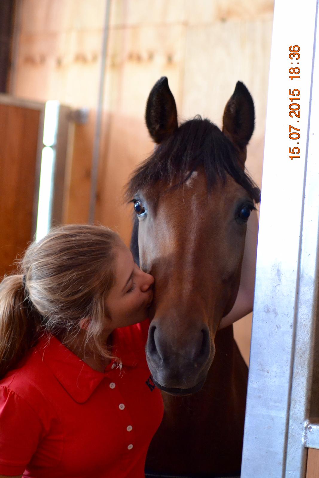 DSP Nikita billede 47