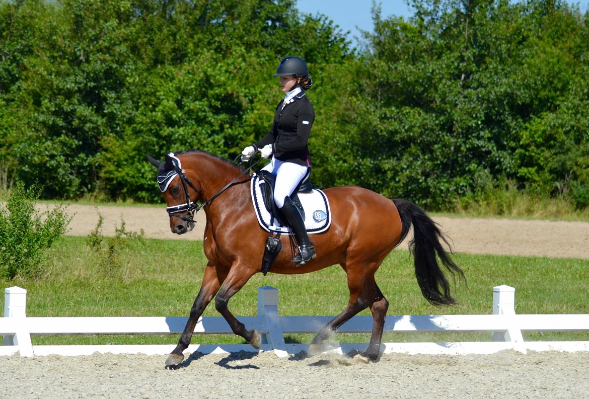 DSP Nikita billede 3