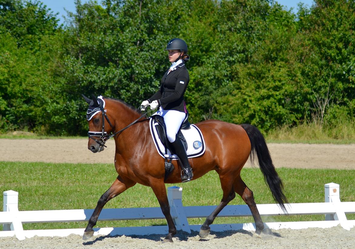 DSP Nikita - Velkommen til Nikita´s profil :-) billede 1