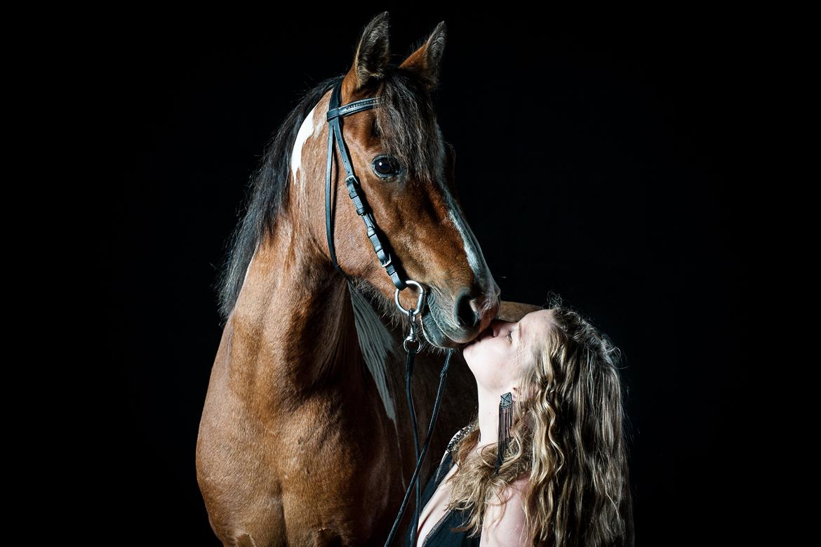 Anden særlig race Shrek | Himmelhest billede 11