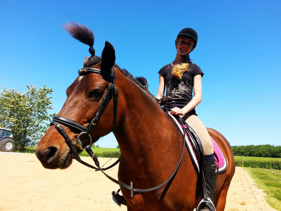 Anden særlig race MUFASJA *FASJA* søsters - Punker hest :P sommer 2015 billede 6