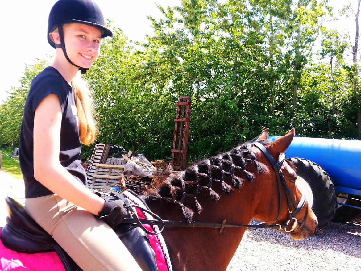 Anden særlig race MUFASJA *FASJA* søsters billede 17