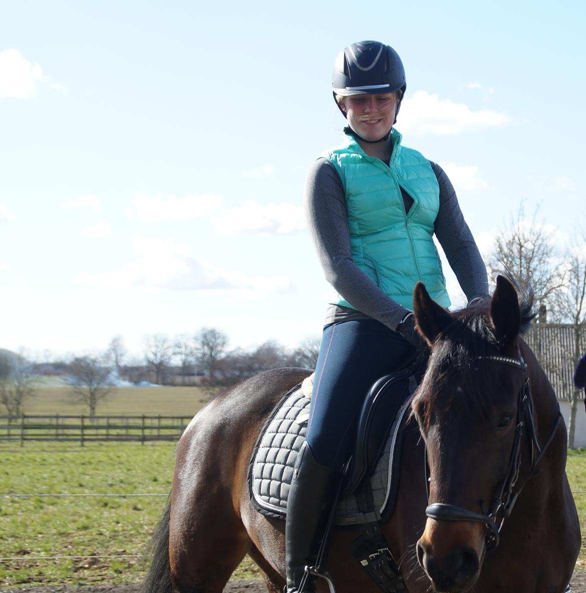 Anden særlig race Gipsy Girl billede 12