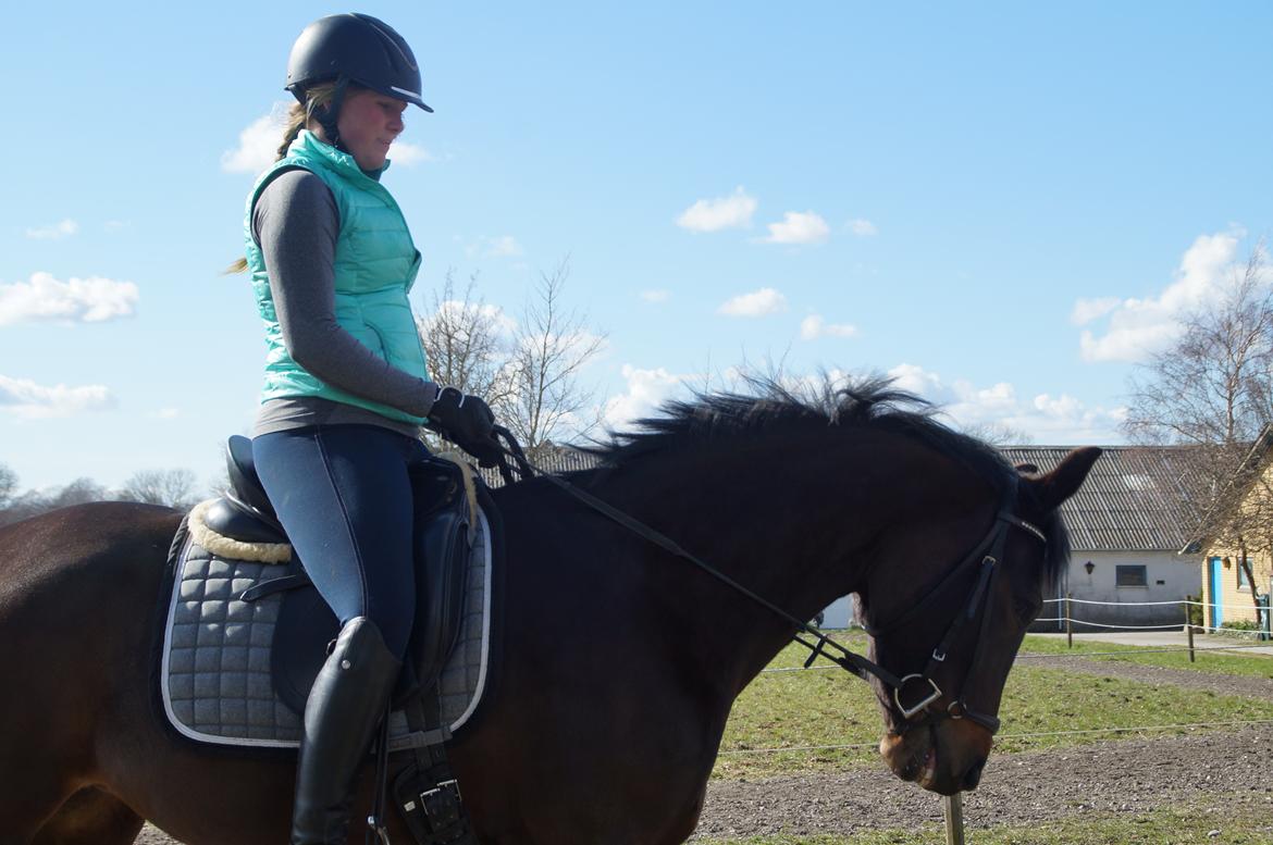 Anden særlig race Gipsy Girl billede 14