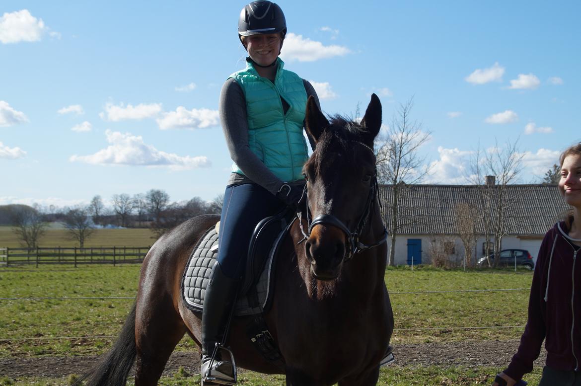Anden særlig race Gipsy Girl billede 16