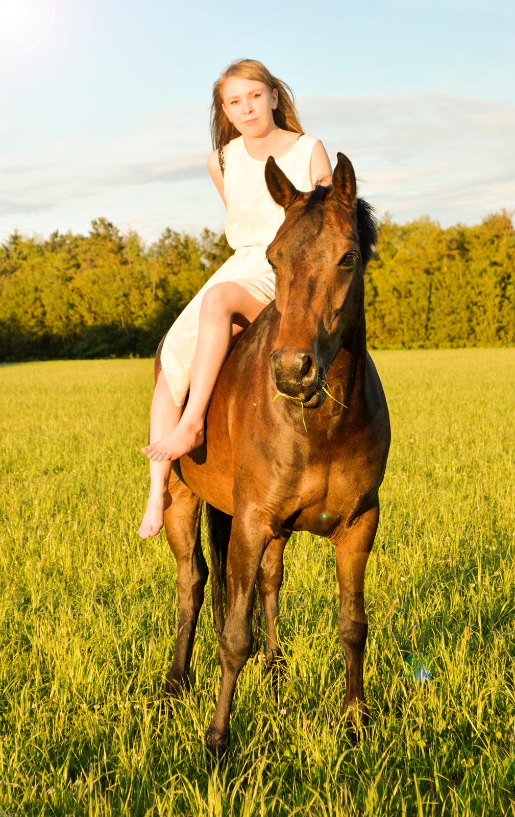 New Forest Skovens Micon  - Juni 2015 | Min prins ♥. billede 16