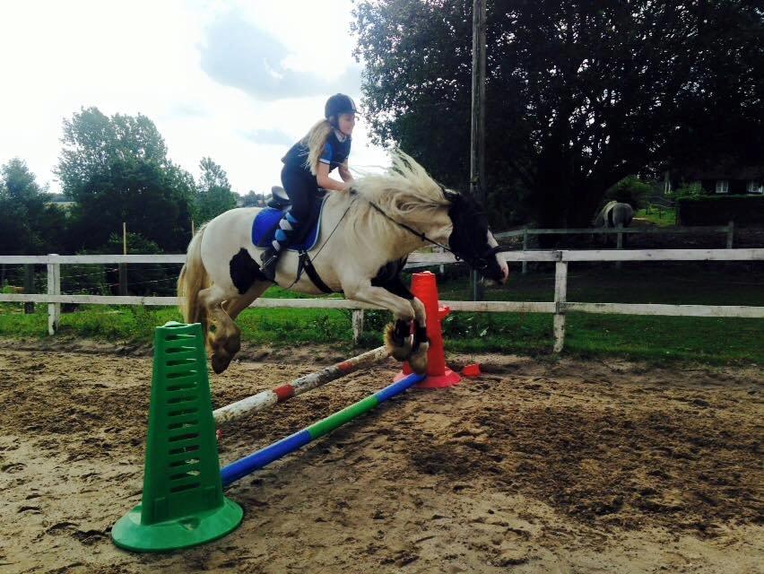 Tinker Sir Archibald af Østerbygaard billede 10