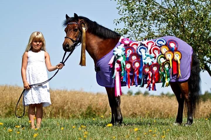 Dartmoor Hr. Karlsson billede 22