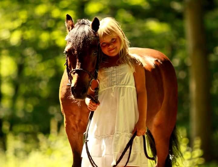 Dartmoor Hr. Karlsson billede 25