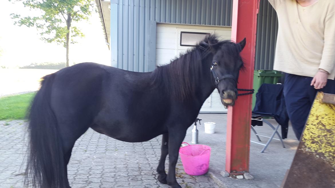 Miniature RS' Eclipse (solgt) billede 3