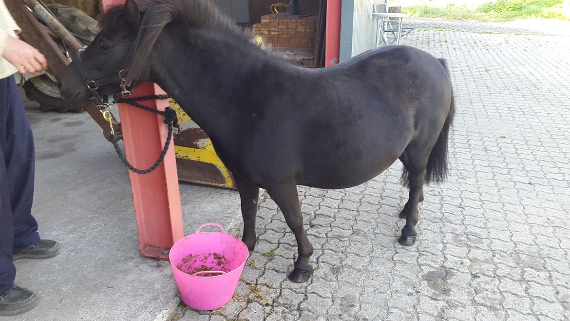 Miniature RS' Eclipse (solgt) billede 6