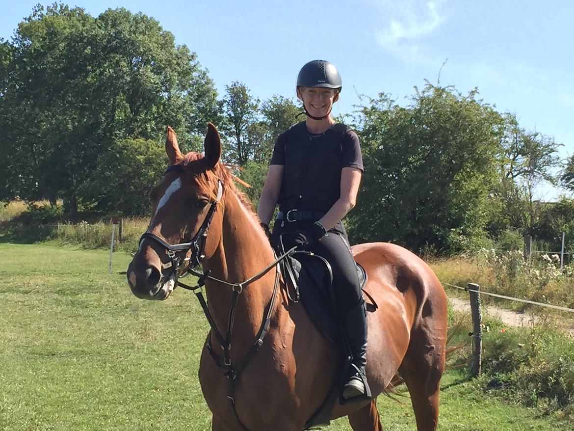 Dansk Varmblod Fiona - Til Subaru Cup på Søborggård august 2015 billede 6