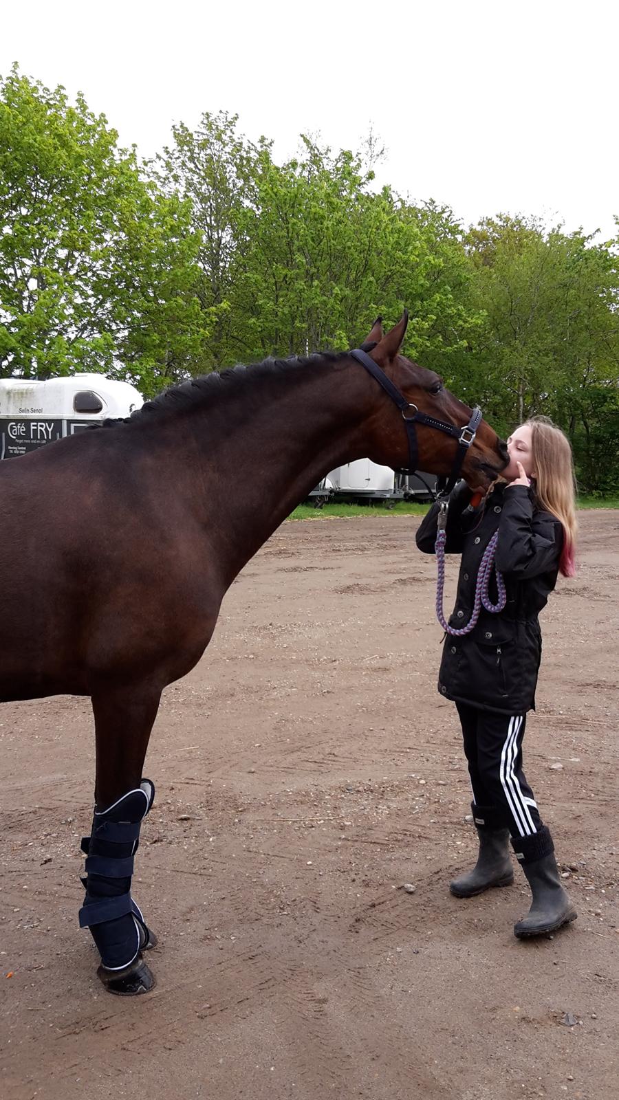 Anden særlig race Tyson 3 billede 13
