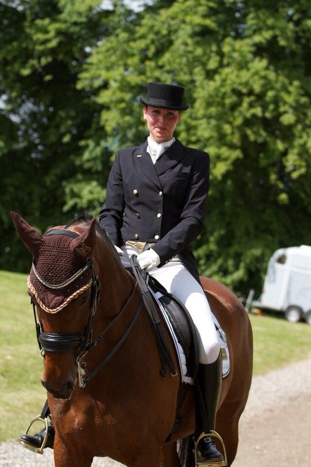 Dansk Varmblod Moesgaards Azia *solgt* billede 7