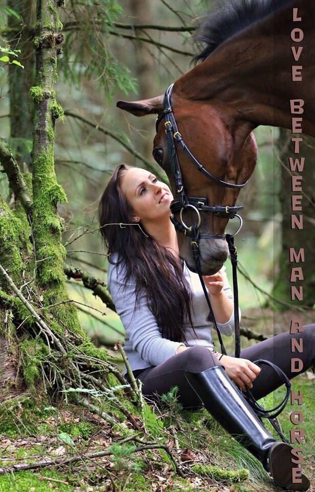 Dansk Varmblod Moesgaards Azia *solgt* billede 8