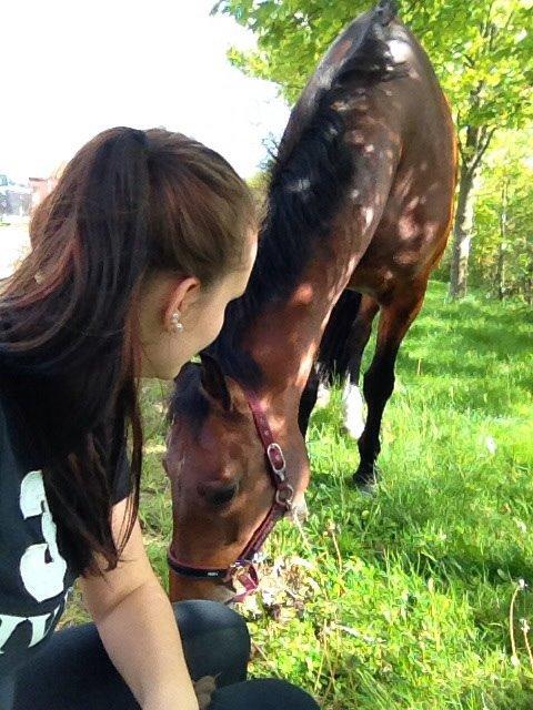 Anden særlig race Flika Solgt. billede 3