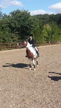 Pinto Faithfuls hola-Chica billede 2