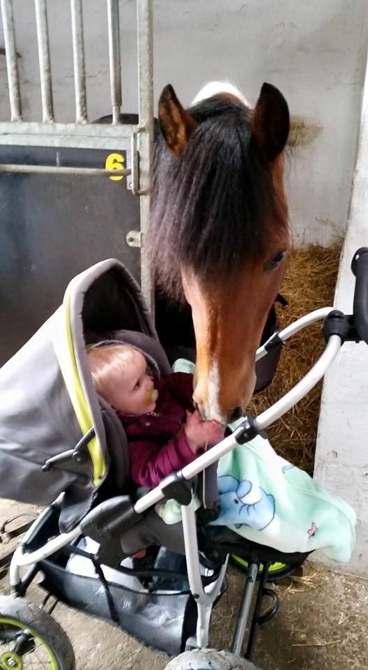 Pinto Faithfuls hola-Chica billede 5