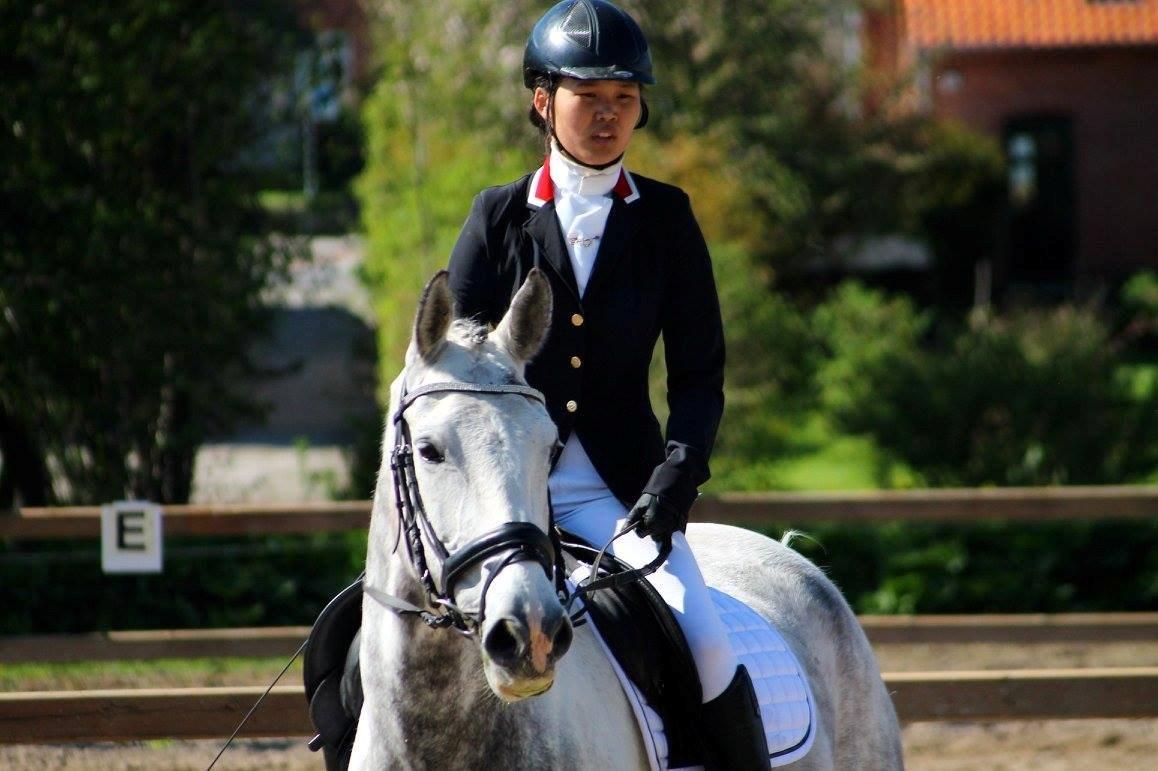 Knabstrupper Søgaardens Marlboro billede 1