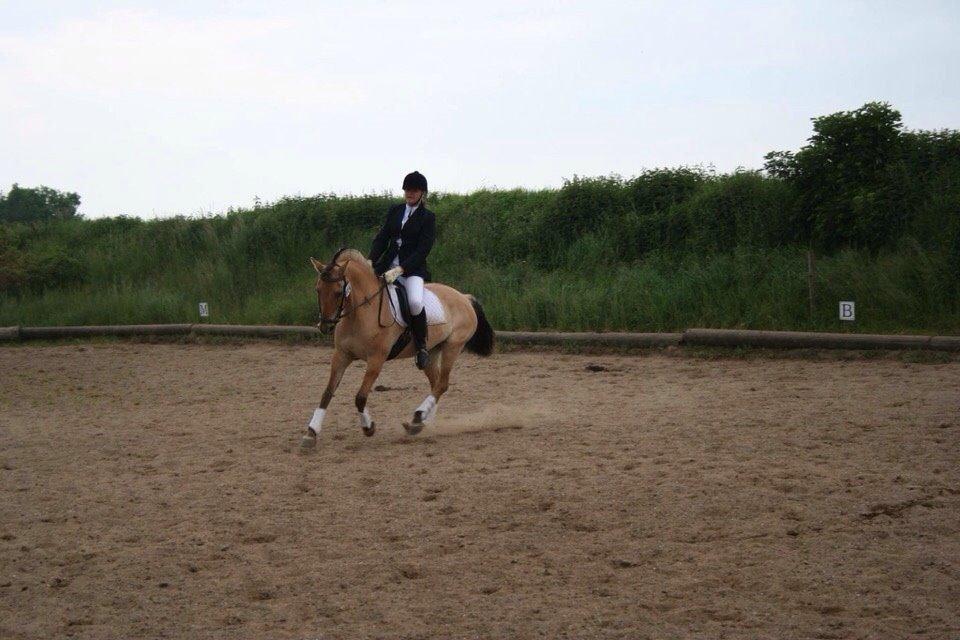 Anden særlig race Sally billede 12