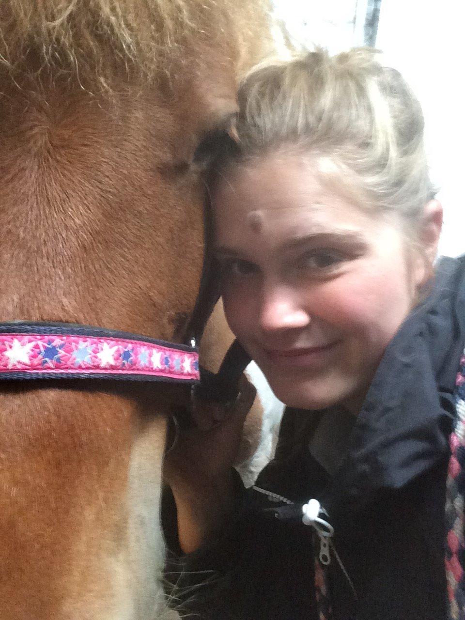 Islænder Ófelía frá Breiðumörk 2  billede 15