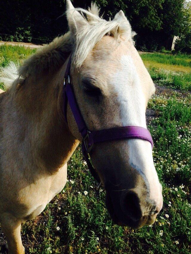 Anden særlig race Ane :-) billede 8