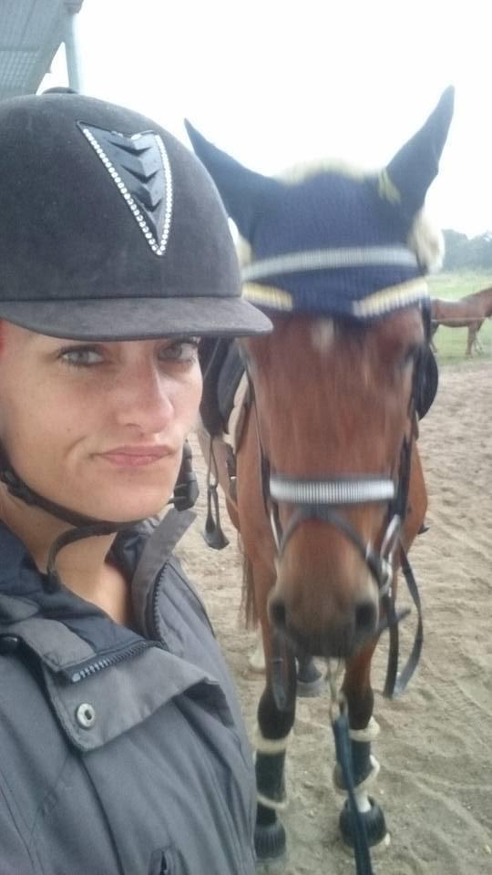 Dansk Varmblod Kenzo by Fidelaty - Står i læ for et kæmpe regnskyld billede 13