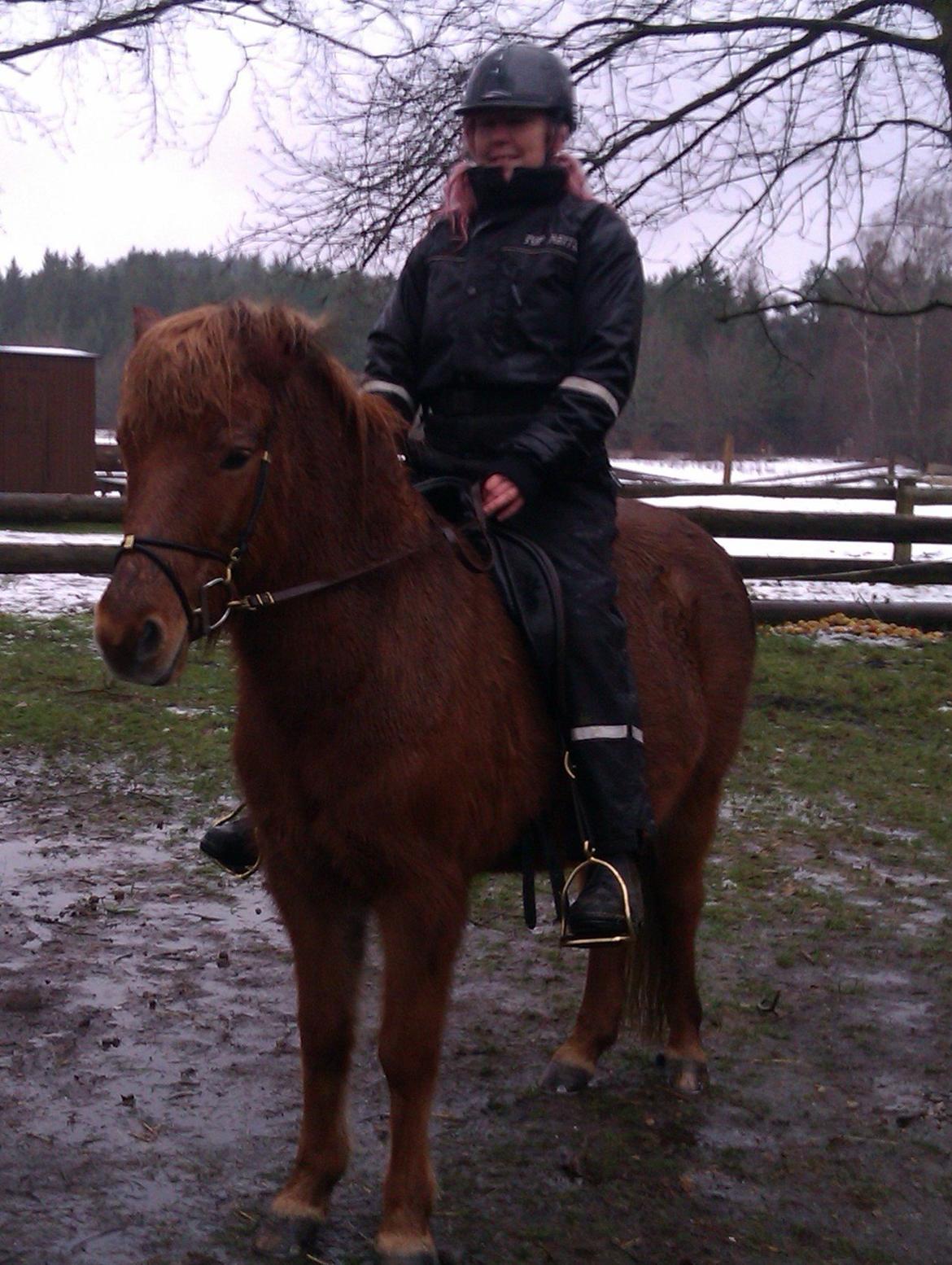 Islænder Kylja degnehuset billede 7