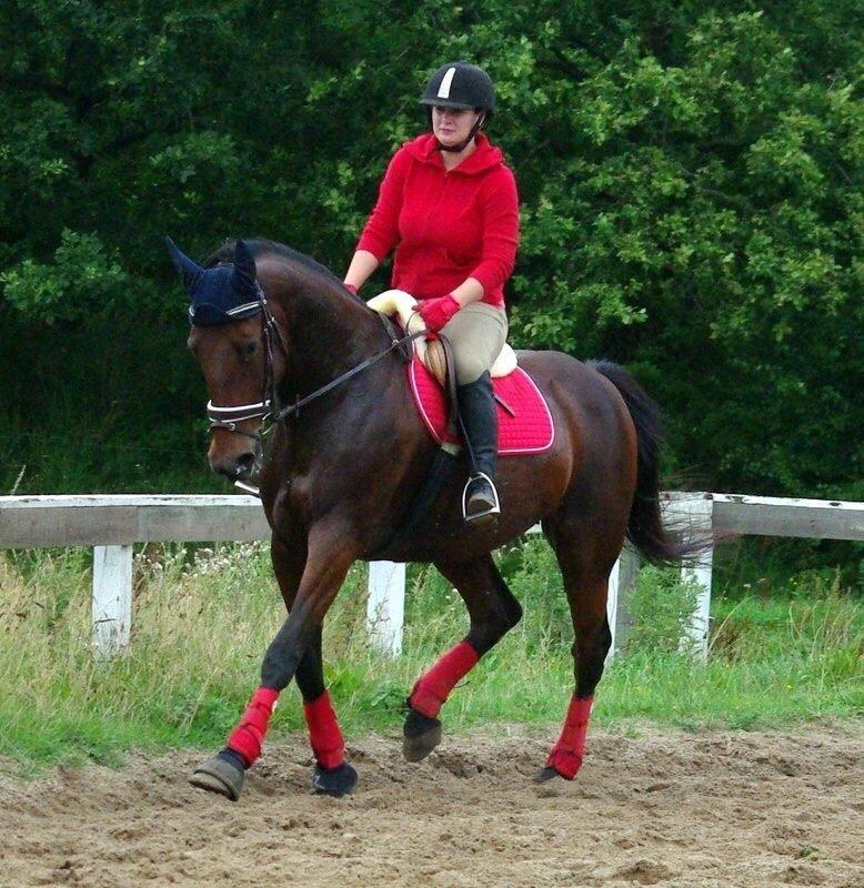 Traver Donna (prima Donna) billede 22