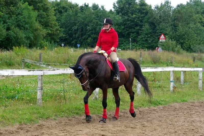 Traver Donna (prima Donna) billede 26