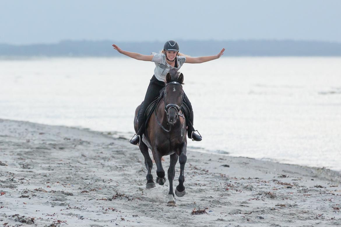Hannoveraner Daphne kild - "To me, horses and freedom are synonymous" billede 23