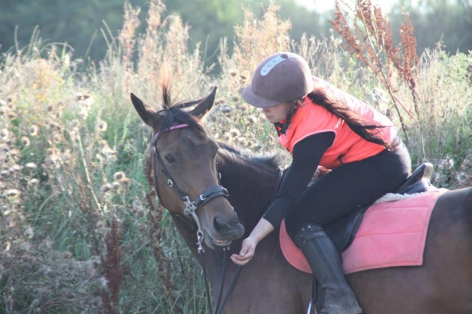 Hannoveraner Flower Girl billede 11