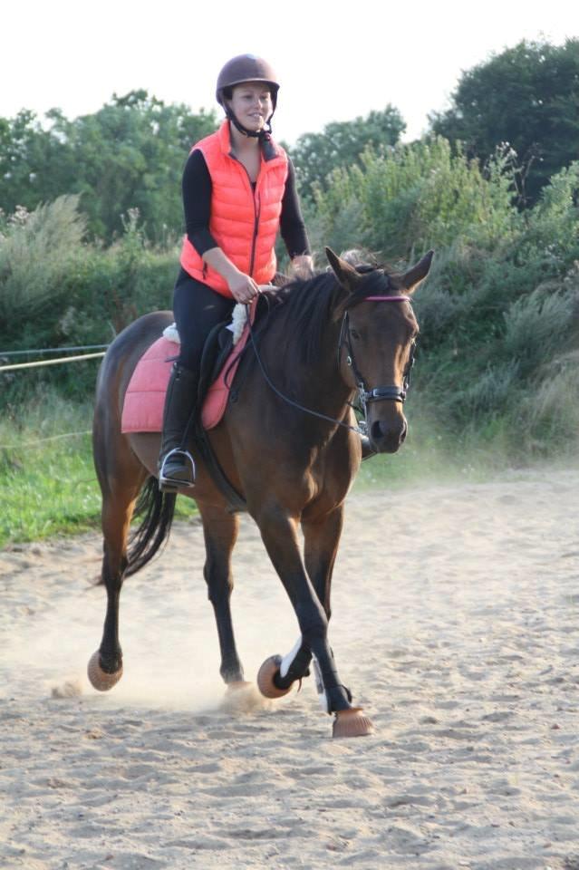 Hannoveraner Flower Girl billede 13