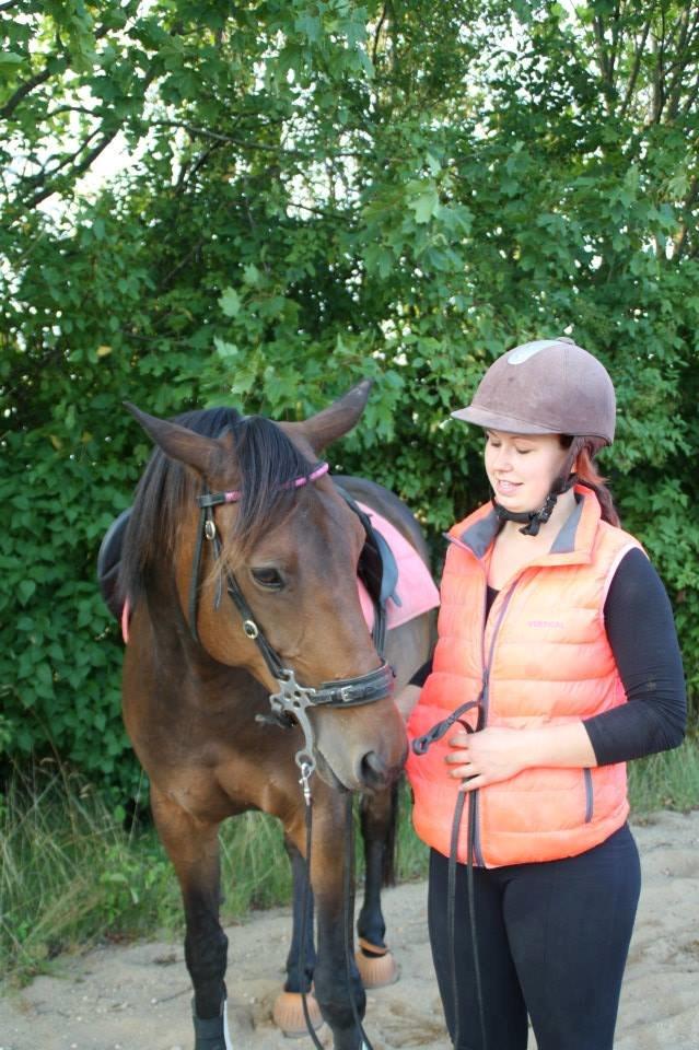 Hannoveraner Flower Girl billede 16